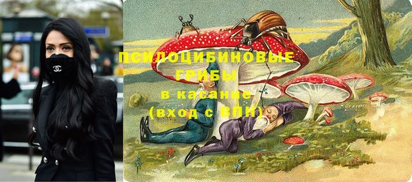 метадон Арсеньев