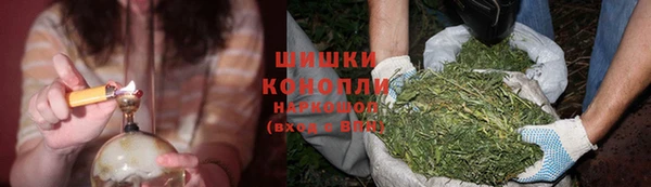 трава Аркадак