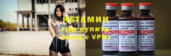 трава Аркадак