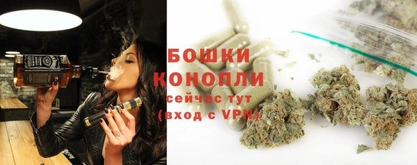 трава Аркадак