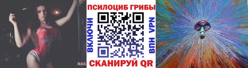 Галлюциногенные грибы мицелий  где можно купить   Чернушка 