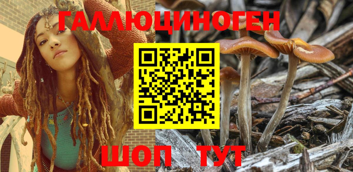 Чернушка  Галлюциногенные грибы Magic Shrooms  Вход с VPN 