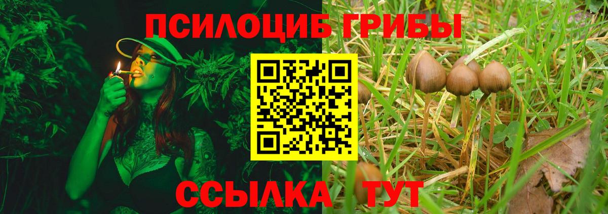 Псилоцибиновые грибы прущие грибы Чернушка